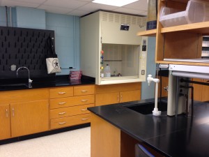 Standing lab bench and hood